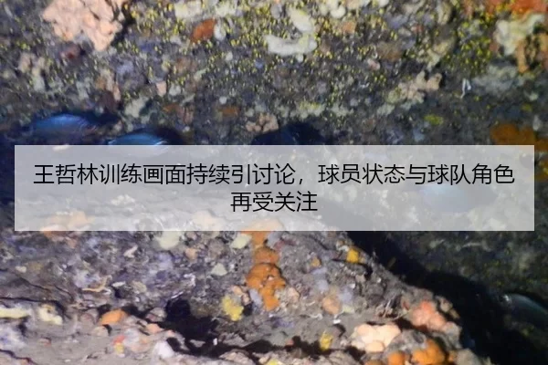 wang-zhe-lin-xun-lian-hua-mian-chi-xu-yin-tao-lun-qiu-yuan-zhuang-tai-yu-qiu-dui-jue-se-zai-shou-guan-zhu-2-399.jpg